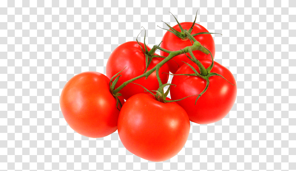 Verduras Tomatoes On The Vine, Plant, Food, Fruit, Vegetable Transparent Png