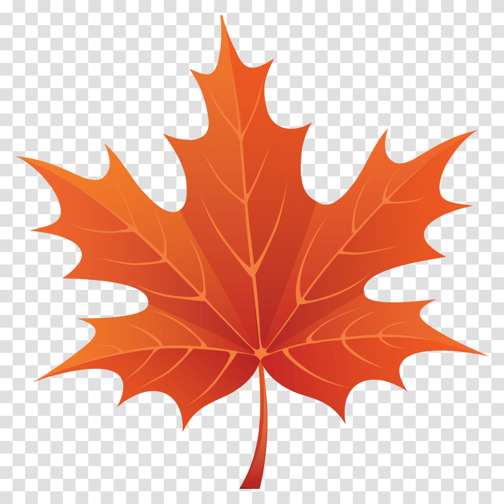 Vermont Maple Festival, Leaf, Plant, Tree, Maple Leaf Transparent Png