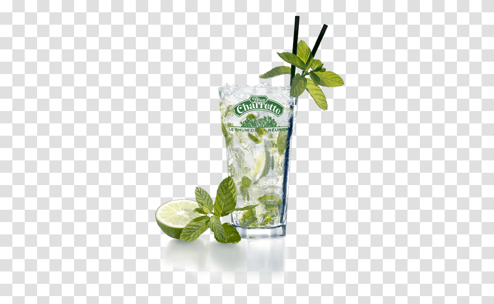 Verre Mojito 6 Image Mojito, Cocktail, Alcohol, Beverage, Drink Transparent Png
