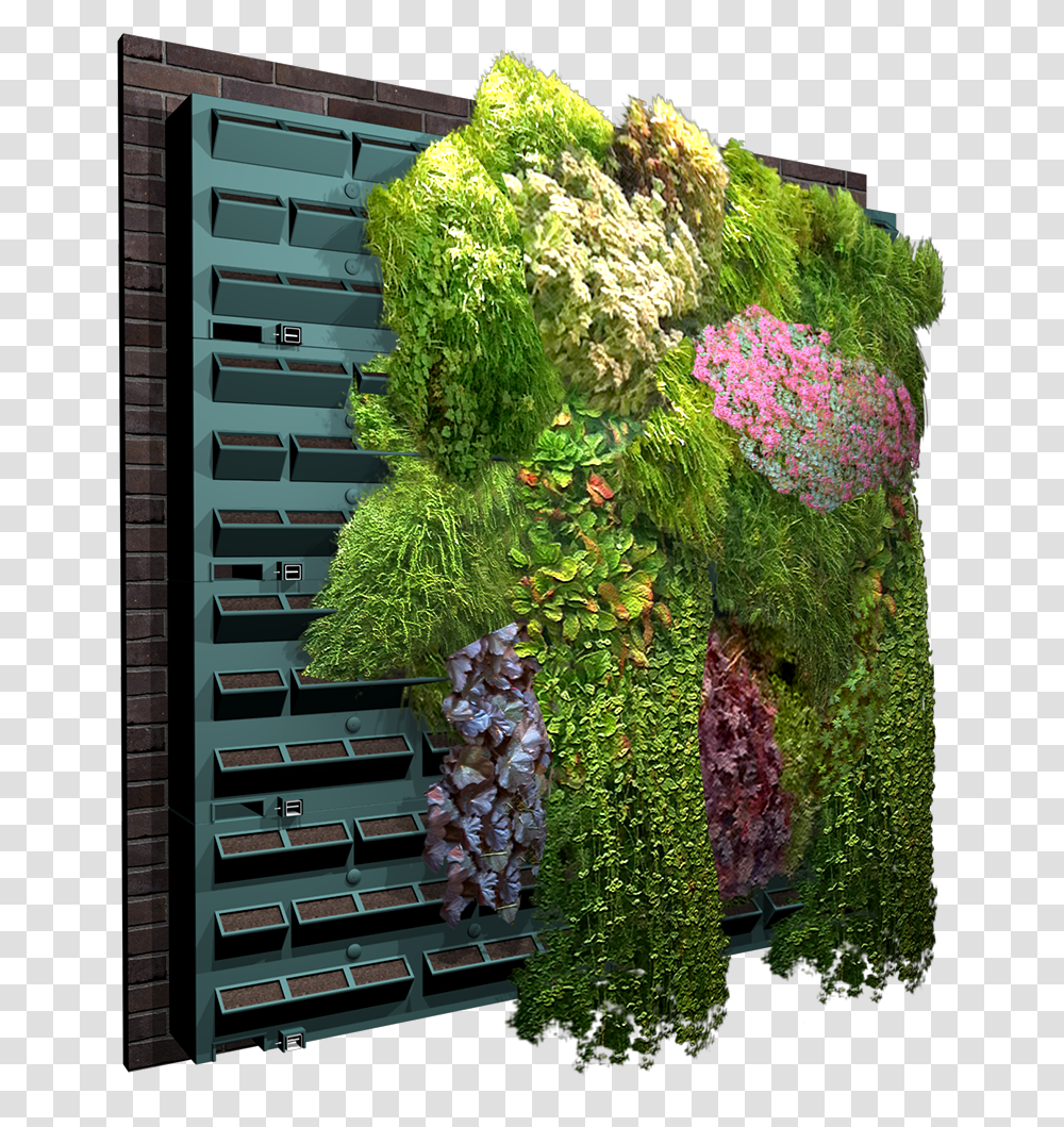 Vertical Garden Archicad, Plant, Outdoors, Home Decor, Arbour Transparent Png