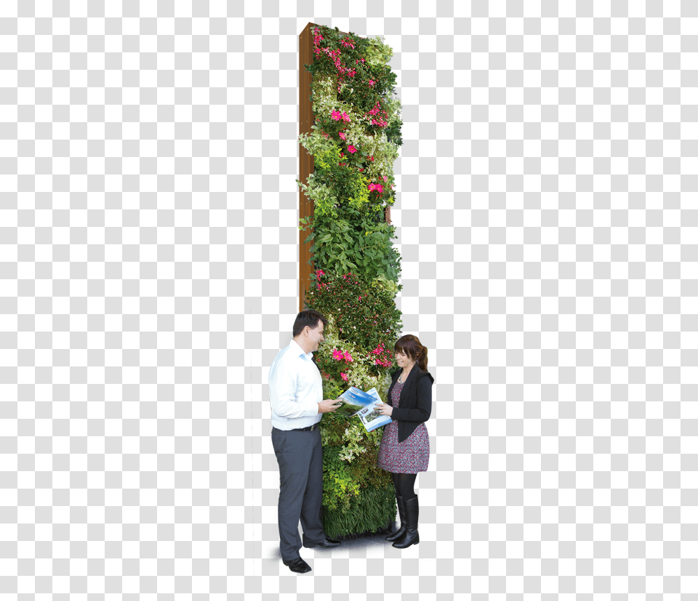 Vertical Garden Green Wall, Person, Plant, Potted Plant Transparent Png