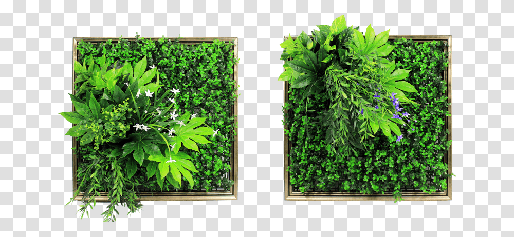 Vertical Garden Vertical Garden Plants, Vegetation, Potted Plant, Vase, Jar Transparent Png