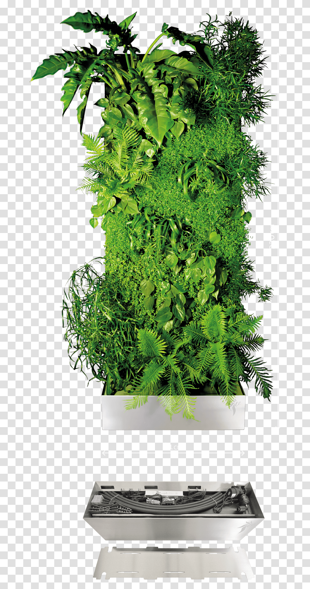 Vertical Garden Vertical Garden, Potted Plant, Vase, Jar, Pottery Transparent Png