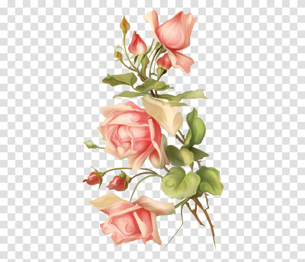 Vertikalnij Risunok Cvetov, Plant, Flower, Blossom Transparent Png