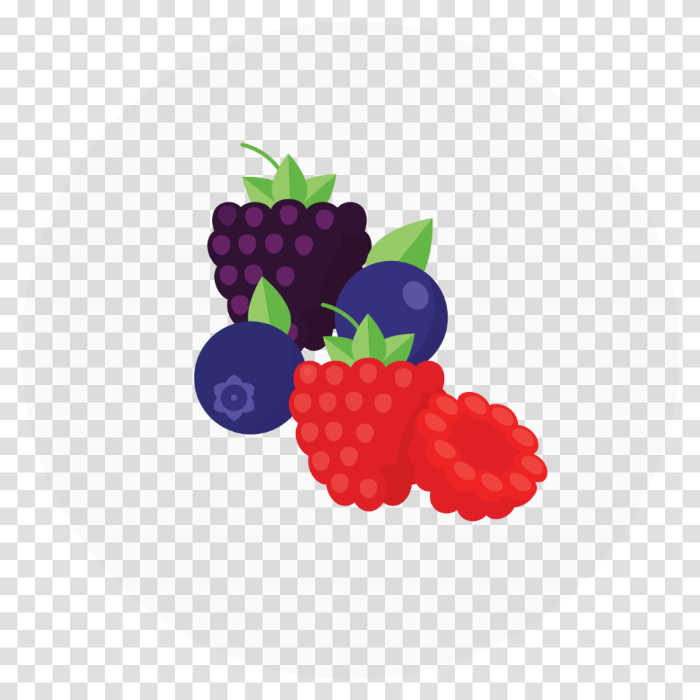 Very Berry Sorbet Fresh, Raspberry, Fruit, Plant, Food Transparent Png