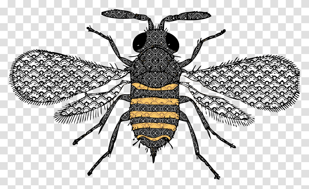 Very Detailed Bee Clip Arts Lumbar Bee Pillow, Animal, Invertebrate, Insect, Spider Transparent Png