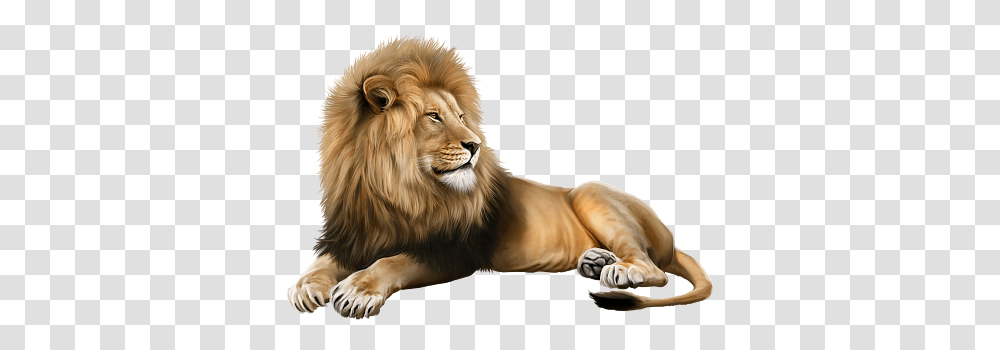 Verymanytubes Lion Mural Animals Lion Clipart, Wildlife, Mammal, Dog, Pet Transparent Png