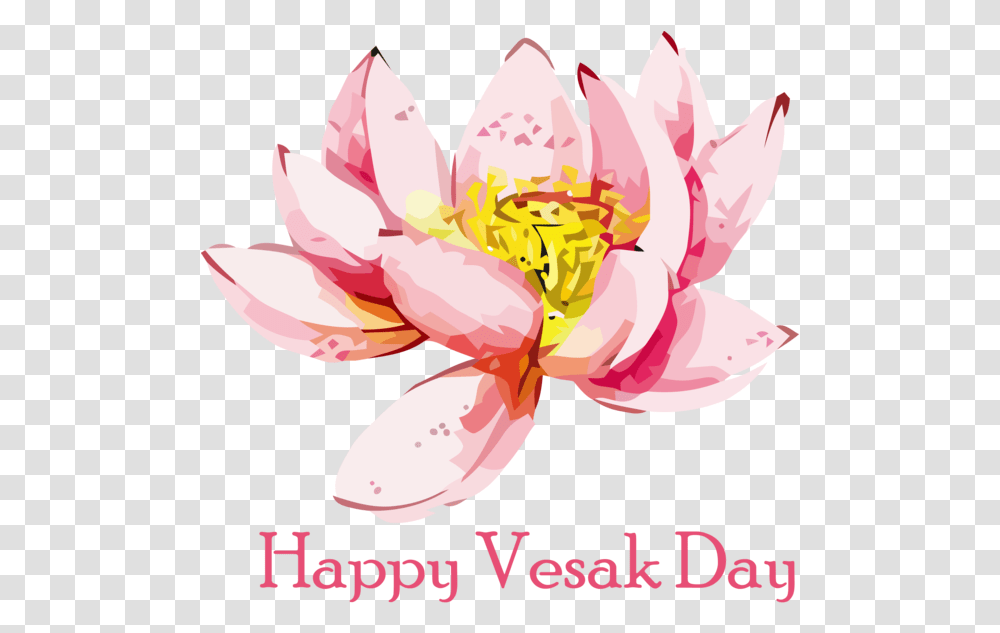 Vesak Flower Lotus Family For Vesak, Plant, Blossom, Lily, Anther Transparent Png