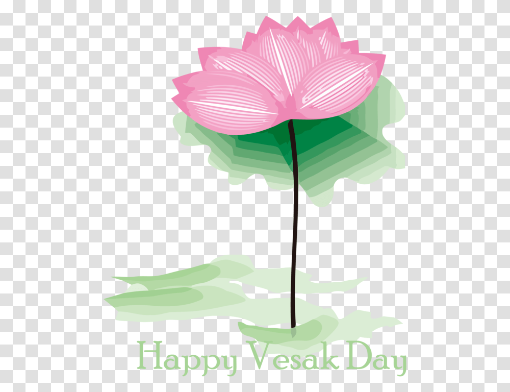 Vesak Flower Plant Leaf For Buddha Day 3222x3803 Lotus Vesak, Blossom, Petal, Pattern, Anther Transparent Png