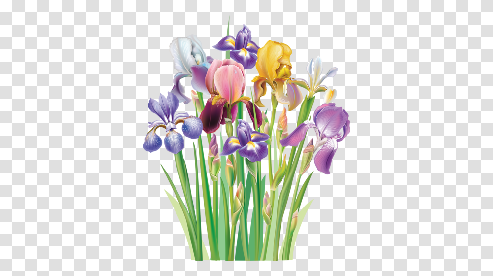 Vesennie Botanical Art Flowers Iris And Flower, Plant, Blossom, Petal, Anther Transparent Png