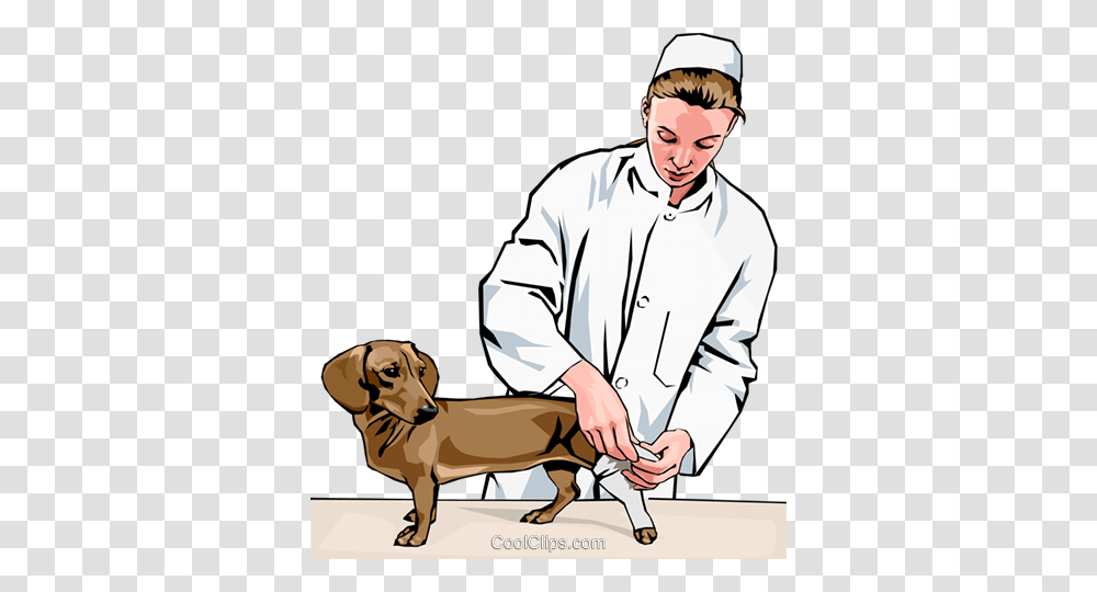 Vet Bandaging Dogs Leg Royalty Free Vector Clip Art Illustration, Person, Human, Doctor, Veterinarian Transparent Png