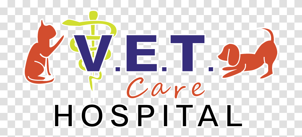 Vet Care Hospital Graphic Design, Alphabet, Number Transparent Png