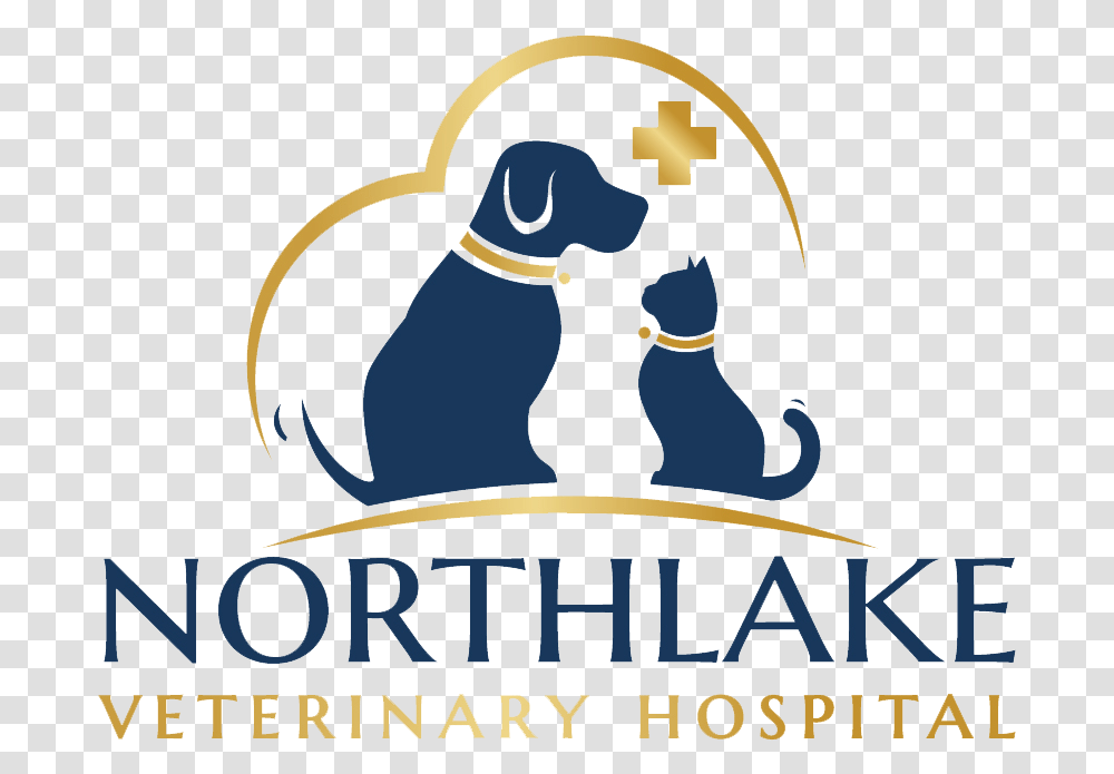 Vet Names For Veterinary Hospital, Outdoors, Nature Transparent Png