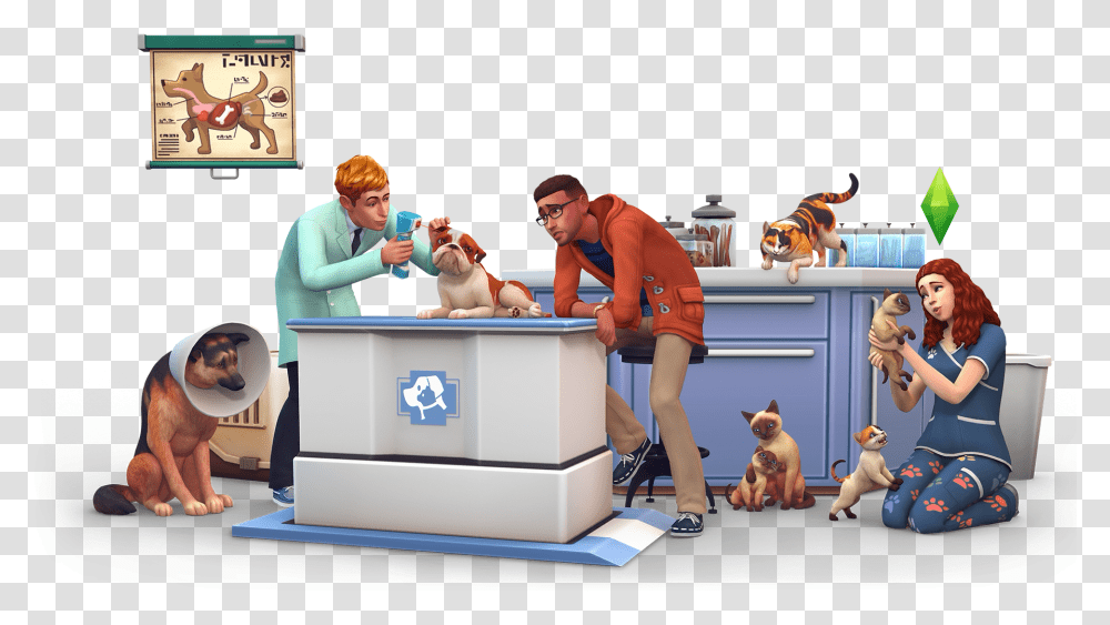 Vet Render Sims Four Wicked Whims Animations, Person, Dog, Animal, Mammal Transparent Png