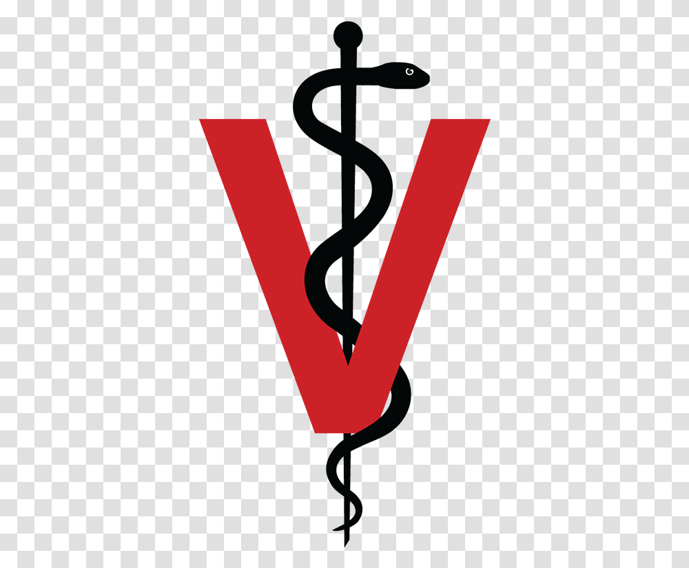 Vet Veterinarian Logo Veterinary, Alphabet, Text, Word, Cross Transparent Png