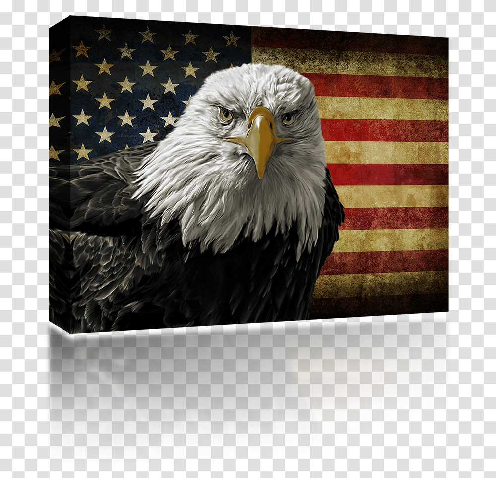 Veterans Day Eagle American Flag, Chicken, Poultry, Fowl, Bird Transparent Png