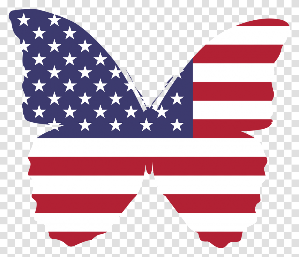 Veterans Dayflagflag Of The United States Usa Flag Butterfly Clip Art, Person, Human, American Flag Transparent Png