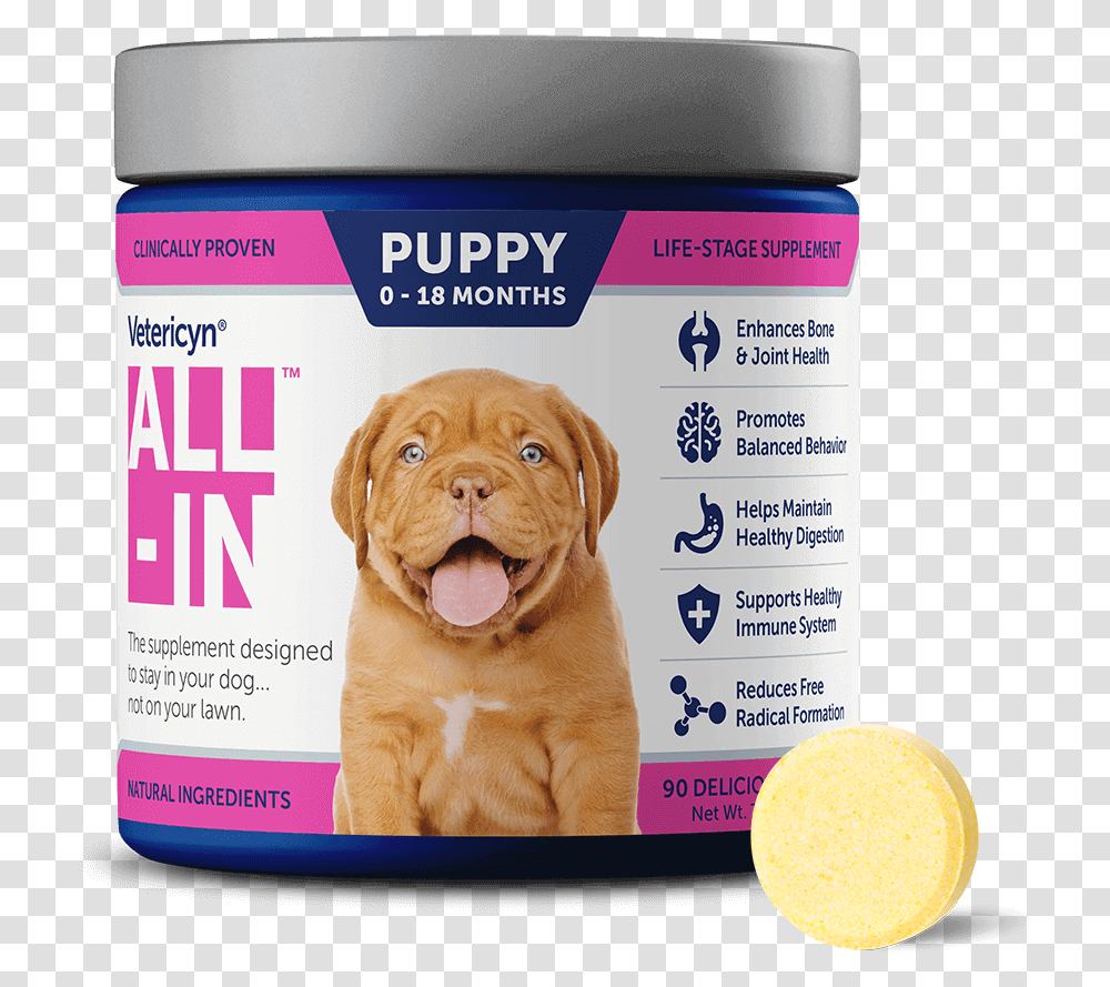 Vetericyn All In Vetericyn Animal Wellness Pet Care Products, Dog, Canine, Mammal, Food Transparent Png