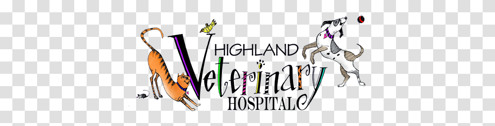 Veterinarian In Highland Mi Highland Veterinary Hospital, Alphabet, Word, Handwriting Transparent Png