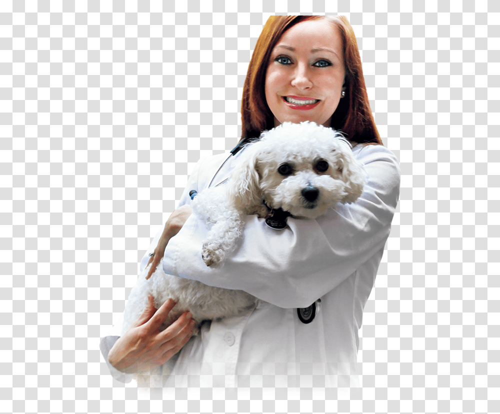 Veterinarian With A Canine Patient Doctor With A Dog, Person, Pet, Animal, Mammal Transparent Png