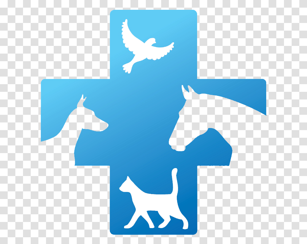 Veterinary Doctor Logo Cartoons Veterinary Doctor Logo, Person, Horse, Mammal, Animal Transparent Png