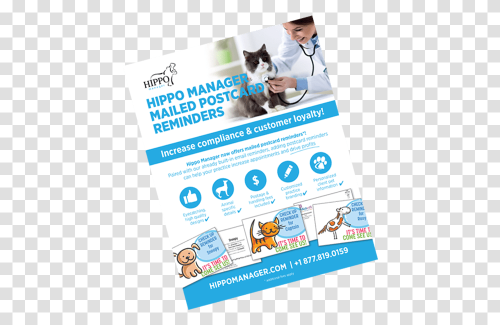 Veterinary Software Reminder Postcards Flyer, Poster, Paper, Advertisement, Brochure Transparent Png