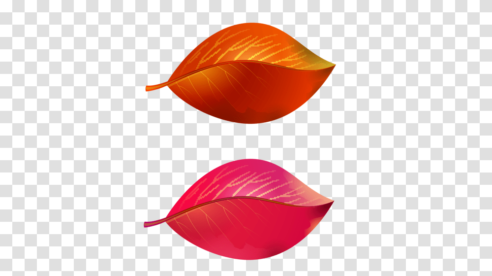 Vetki Listia Clip Art Fall Autumn Clip Art And Fall, Leaf, Plant, Petal, Flower Transparent Png