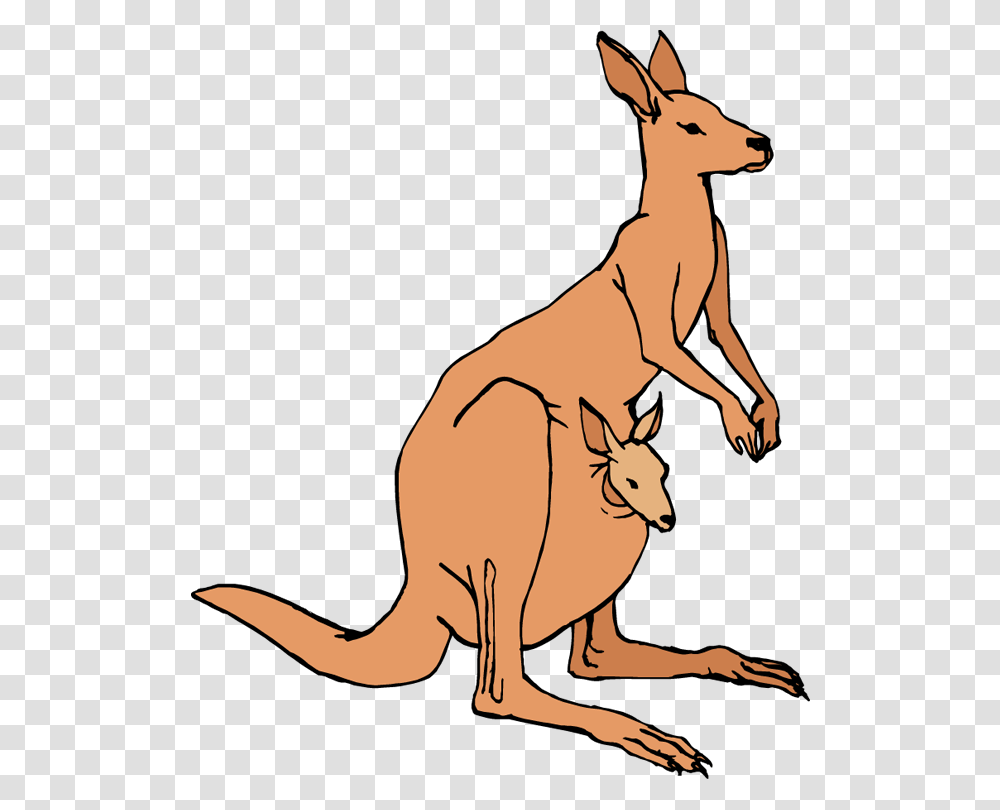 Veto Cliparts, Kangaroo, Mammal, Animal, Wallaby Transparent Png
