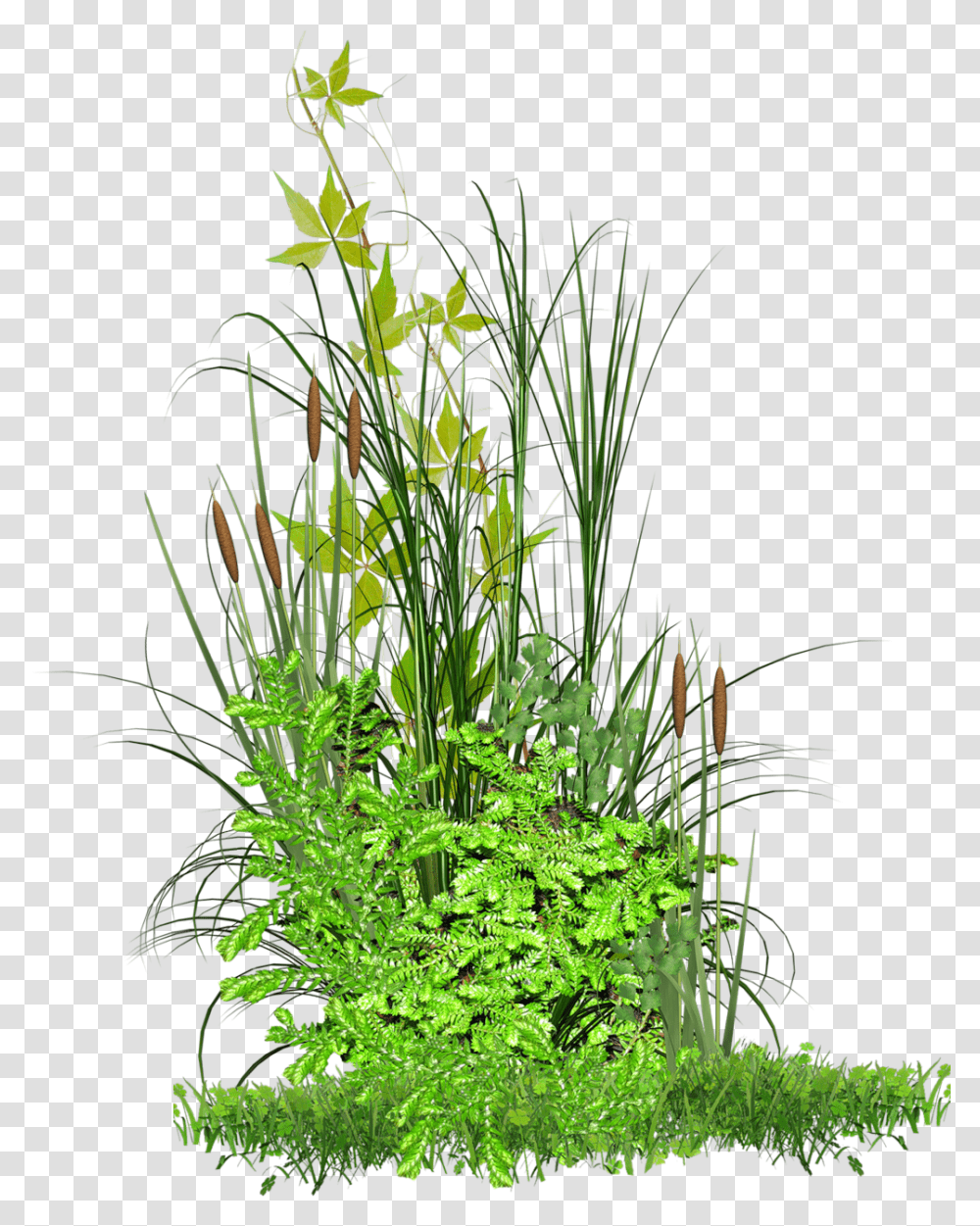 Vgtation Editing Images Hd, Plant, Vase, Jar, Pottery Transparent Png