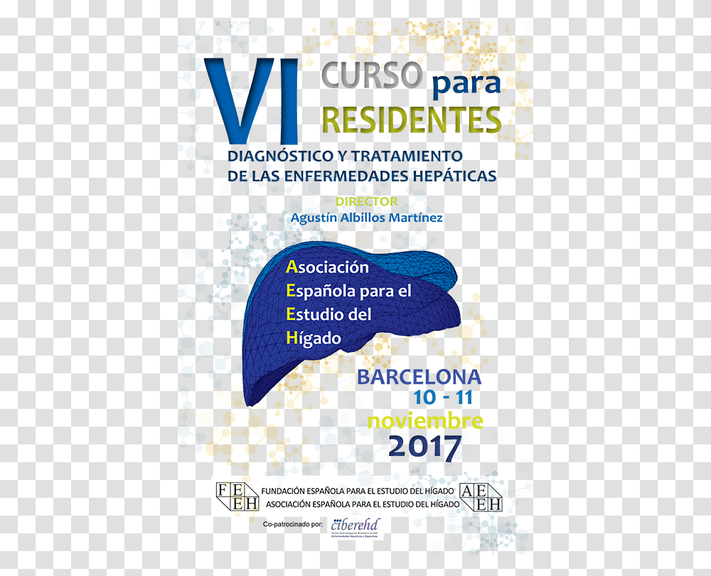 Vi Curso Para Residentes Flyer, Plot, Map, Diagram, Poster Transparent Png