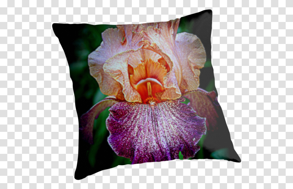 Vibrant Iris Flower Cushion, Plant, Blossom, Petal, Geranium Transparent Png