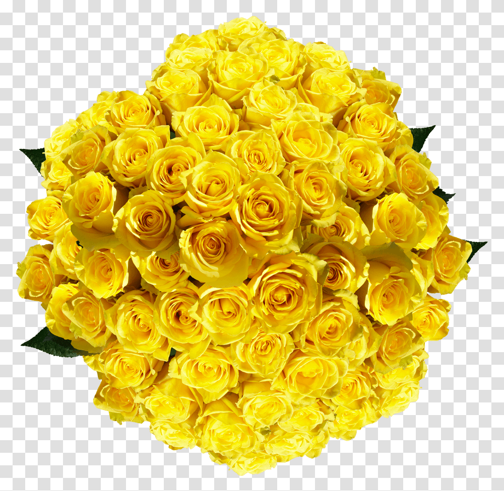 Vibrant Pure Yellow Roses Floribunda, Floral Design, Pattern Transparent Png