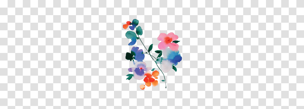Vibrant Rose, Plant, Flower, Blossom Transparent Png
