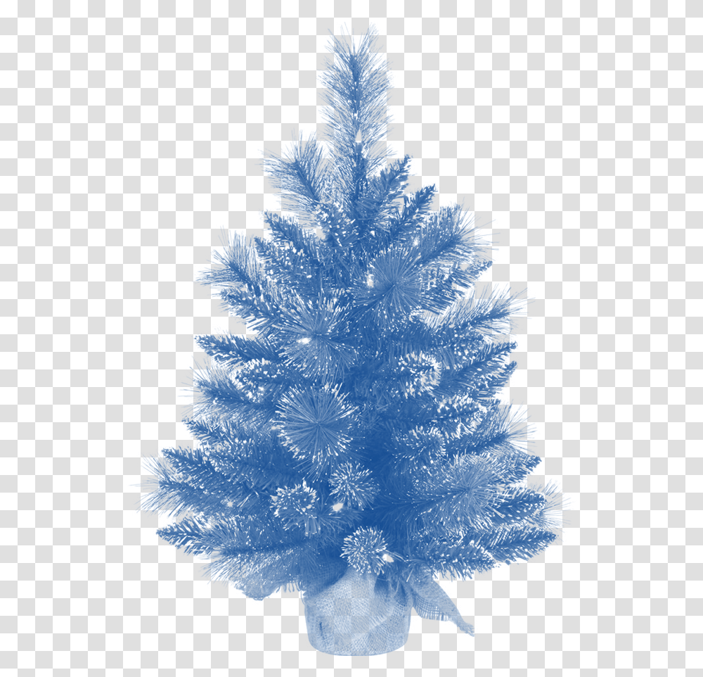 Vickerman, Christmas Tree, Ornament, Plant, Fir Transparent Png