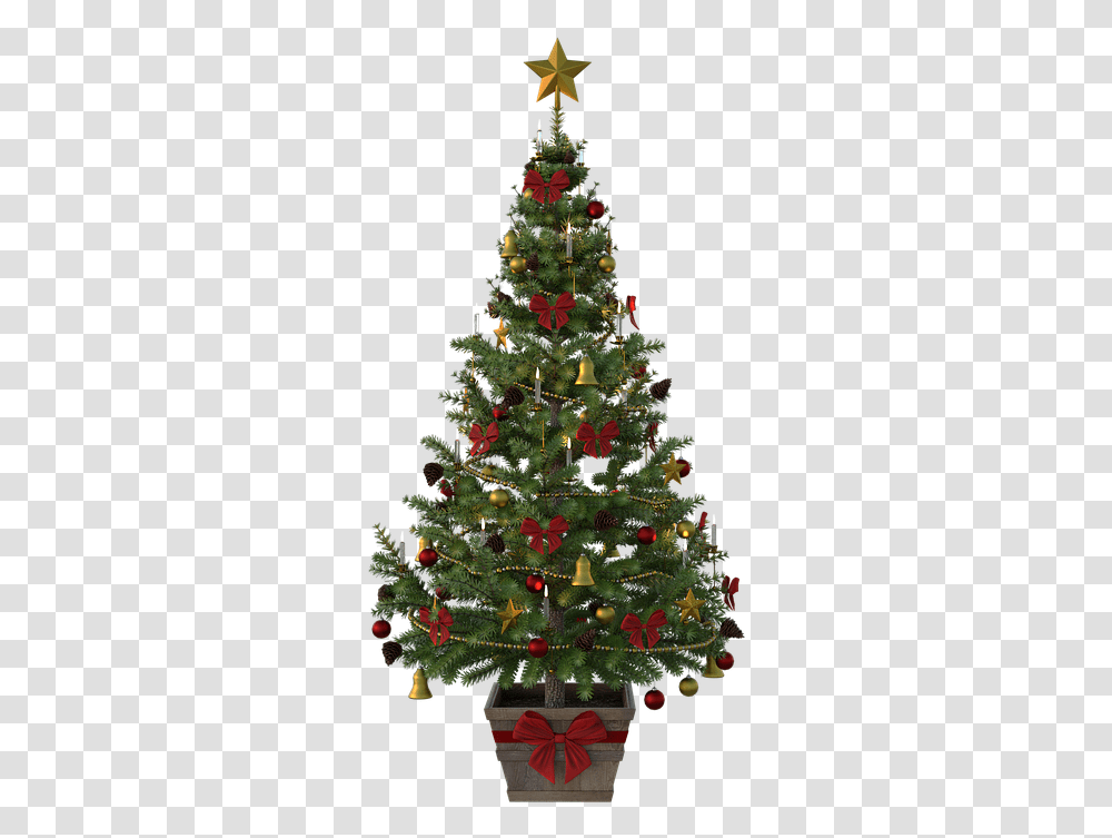 Victorian Christmas Tree Illustration, Ornament, Plant, Pine, Conifer Transparent Png