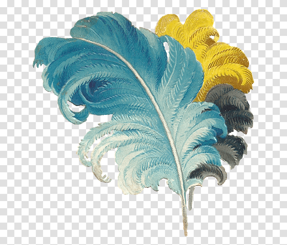 Victorian Feather Drawing Blue Yellow Black Ostrich Feathers Background, Pattern, Ornament, Fractal Transparent Png