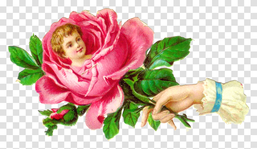 Victorian Flowers Clip Art Clip Art, Plant, Blossom, Rose, Leaf Transparent Png