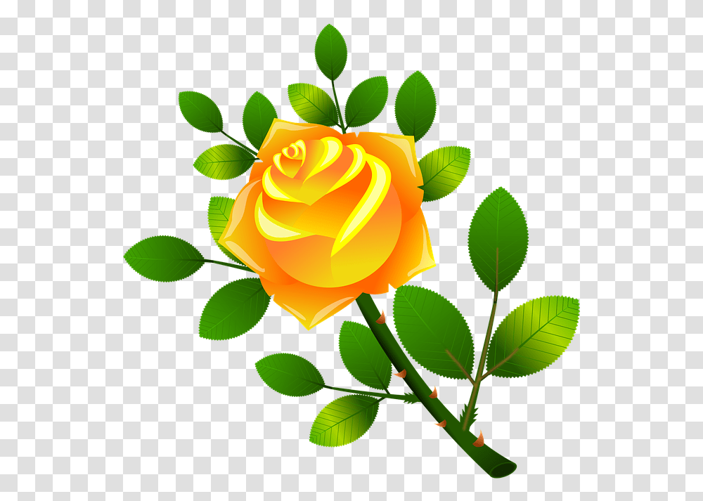 Victorian Flowers Cliparts 17 Buy Clip Art Floral Amarela, Floral Design, Pattern, Rose Transparent Png