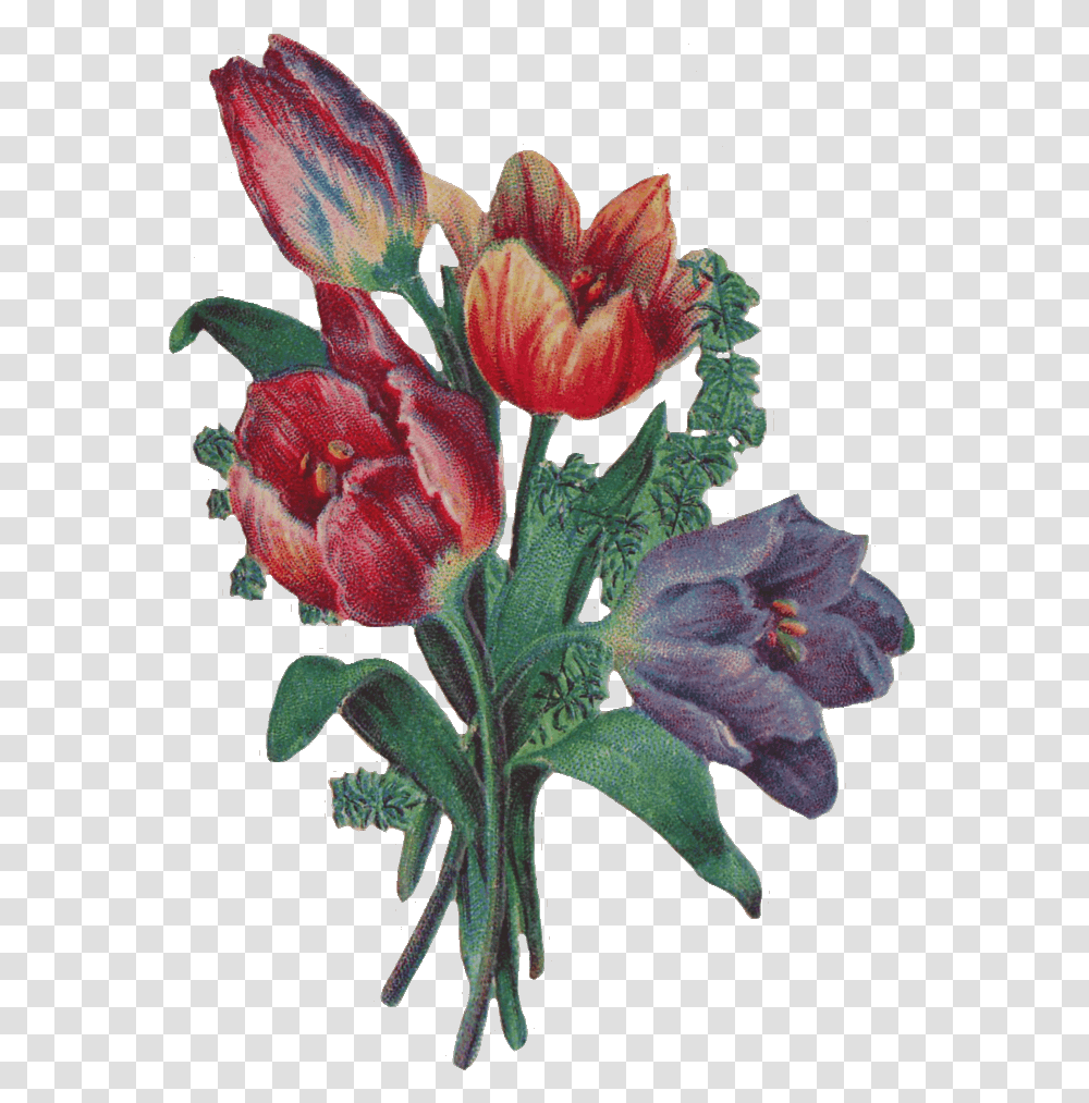 Victorian Flowers Cliparts Clipart Victorian Flower, Plant, Flower Arrangement, Acanthaceae, Flower Bouquet Transparent Png