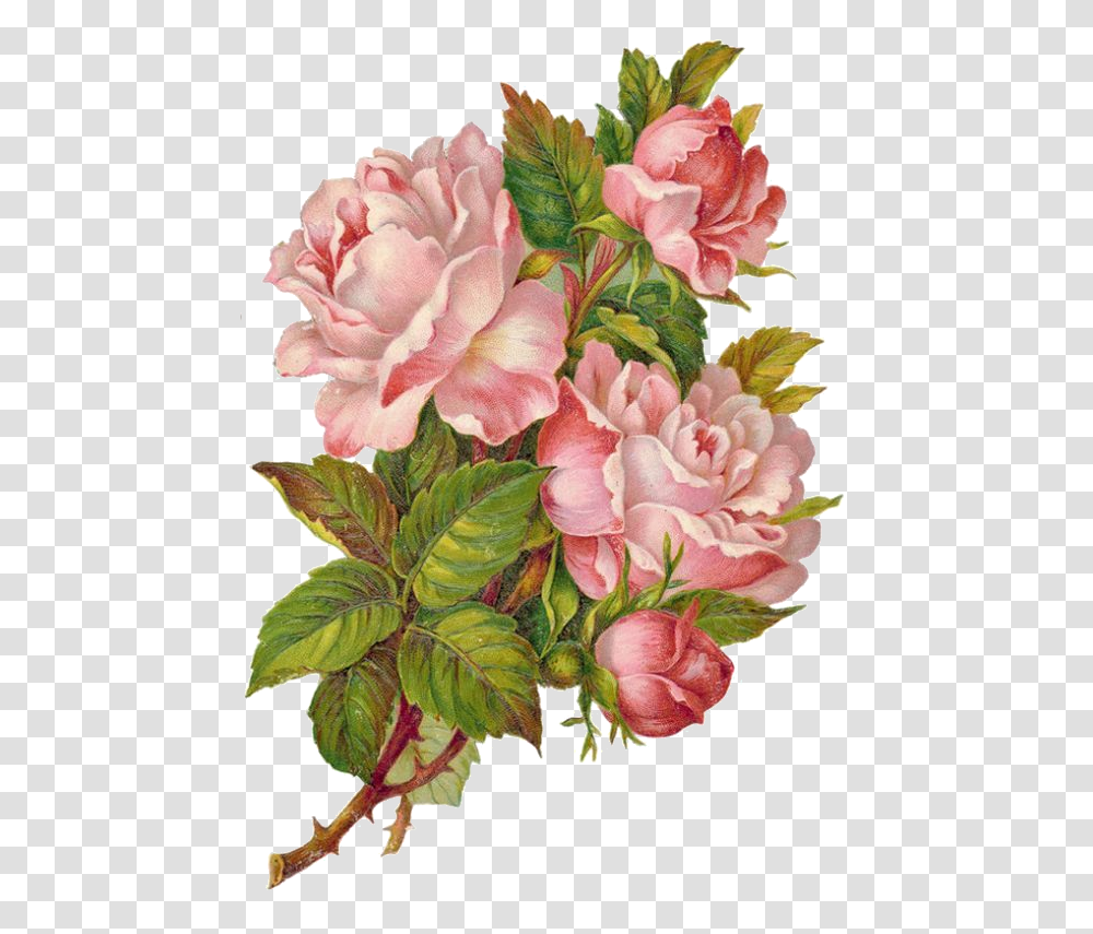 Victorian Flowers Vintage Overlay Flower, Floral Design, Pattern, Graphics, Art Transparent Png