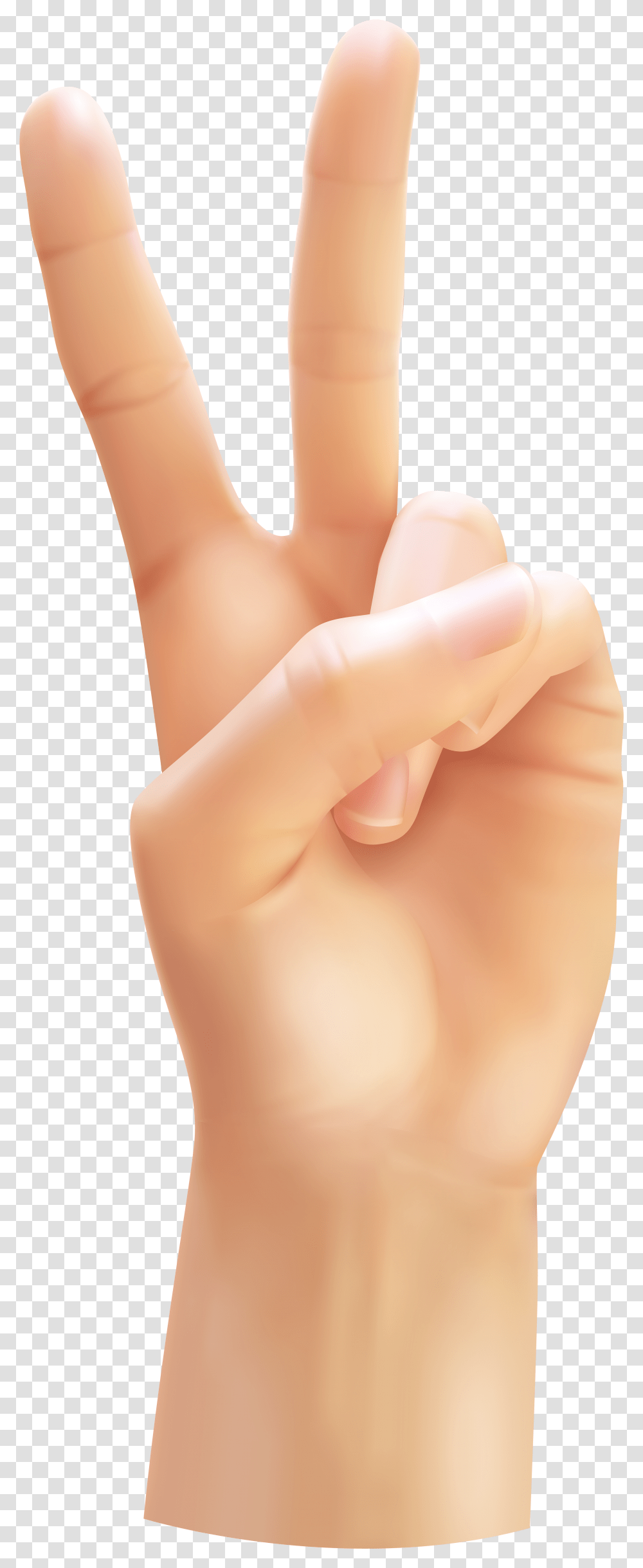 Victory Hand Gesture, Person, Human, Finger, Wrist Transparent Png