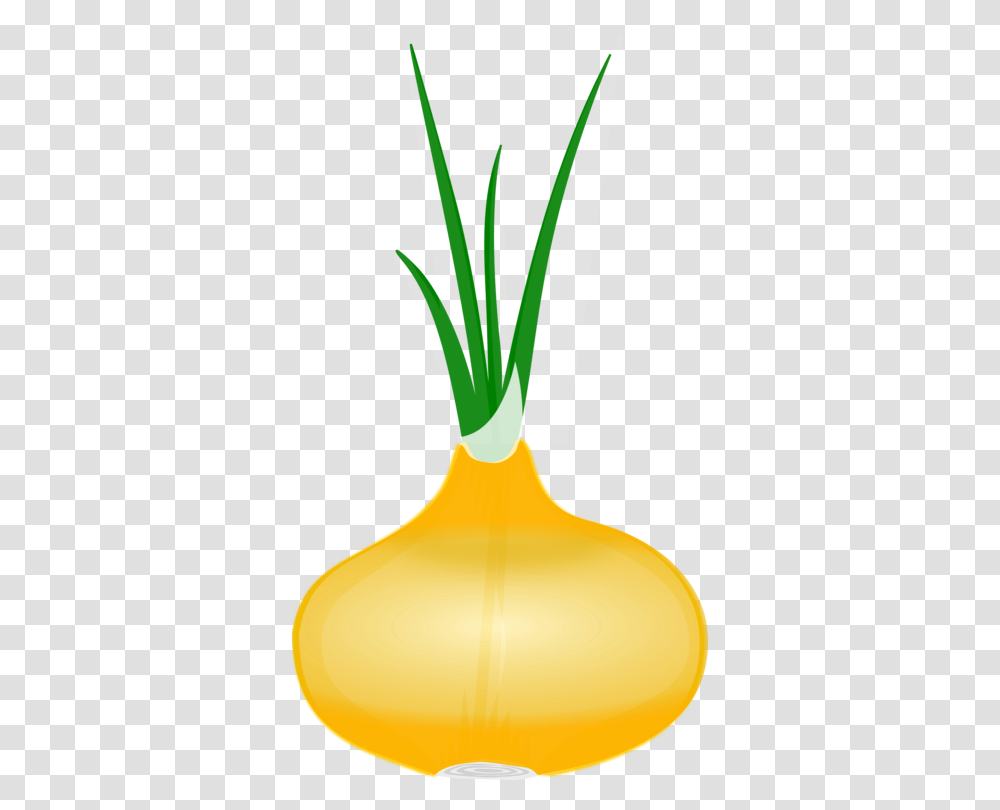 Vidalia Onion Vegetable Download, Plant, Food, Lamp, Produce Transparent Png