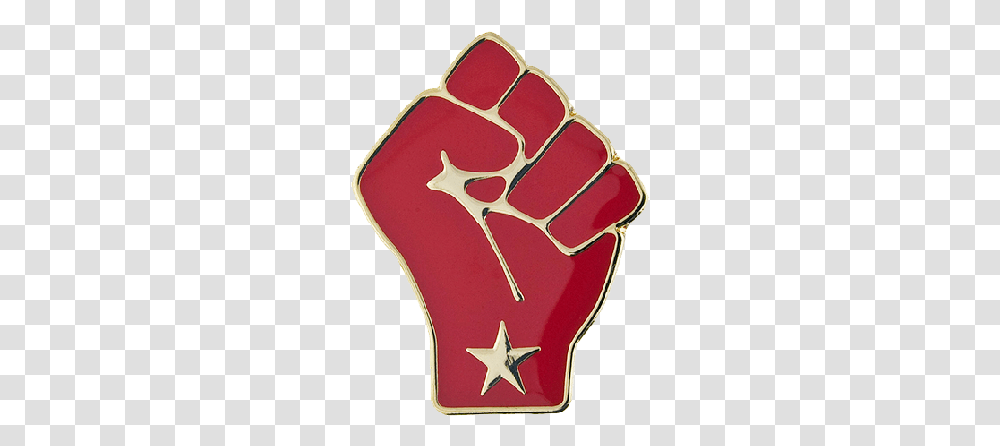 Video Debbie Saslaw Raised Fist, Hand, Symbol, Soccer Ball, Football Transparent Png