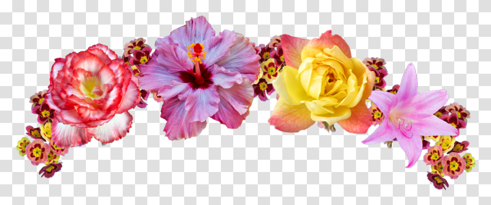 Video Game Flower Crown Edits Clip Art Flower Crown, Plant, Blossom, Petal, Hibiscus Transparent Png