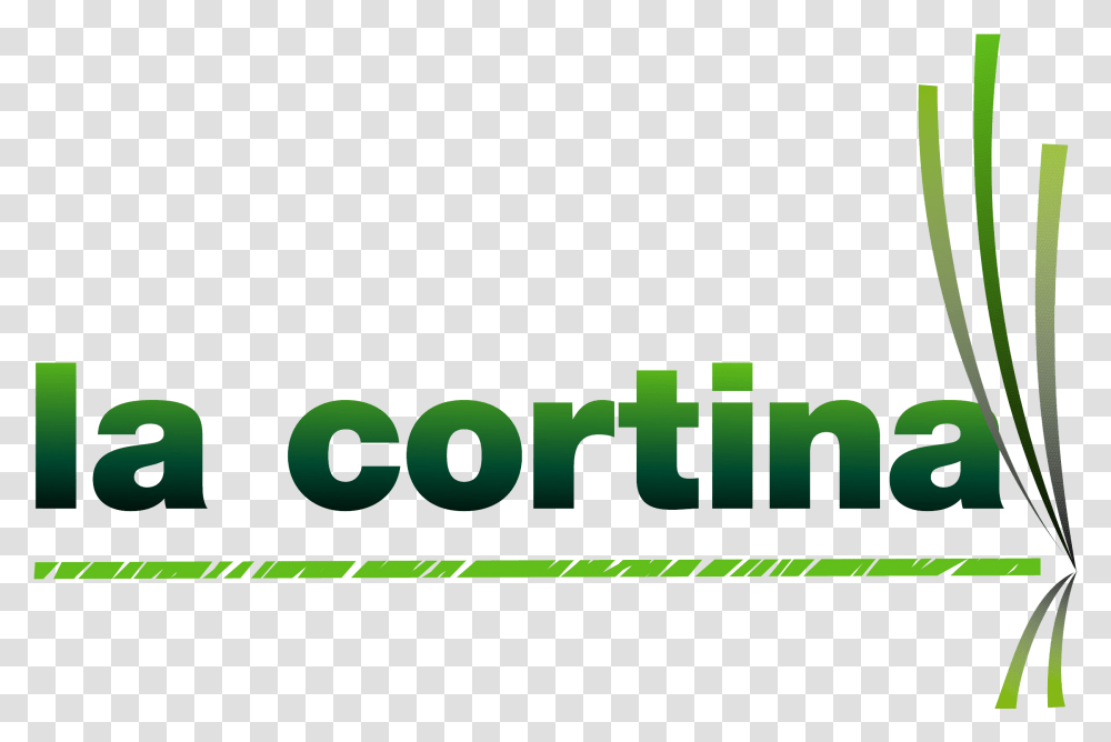 Video Production Marketing Download Logotipos De Empresas De Cortinas, Word, Plant Transparent Png