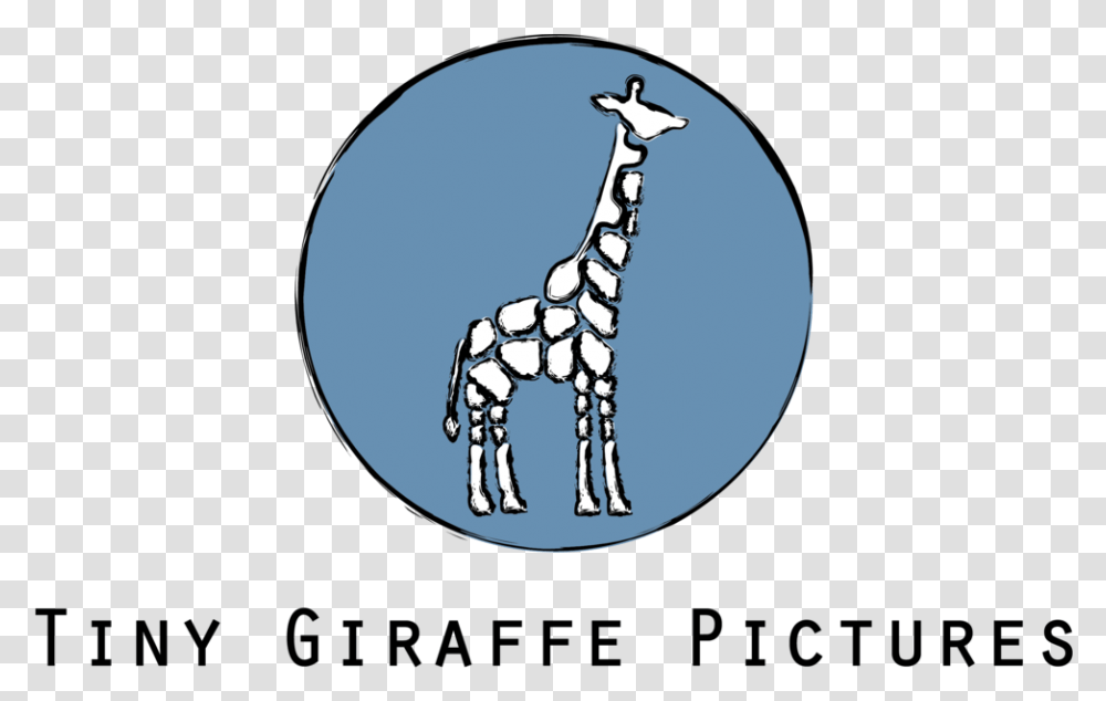 Video Production Services In Nyc & Nj Tiny Giraffe Pictures, Wildlife, Mammal, Animal, Moon Transparent Png