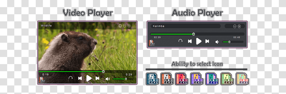 Video To Exe Converter Mp3 Groundhog Day, Bear, Animal, Clothing, Text Transparent Png
