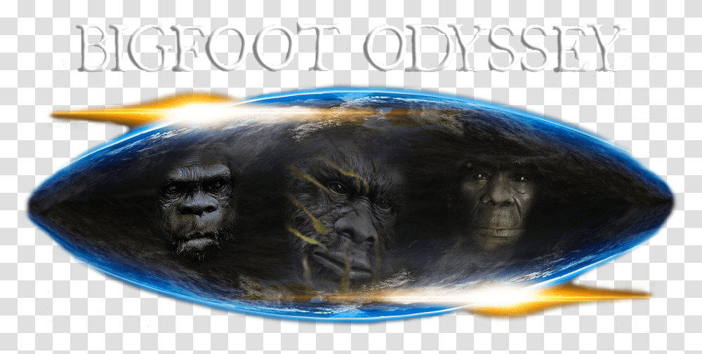 Video Tony Joins Bigfoot Odyssey As A Guest Host - The, Sphere, Outer Space, Astronomy, Universe Transparent Png