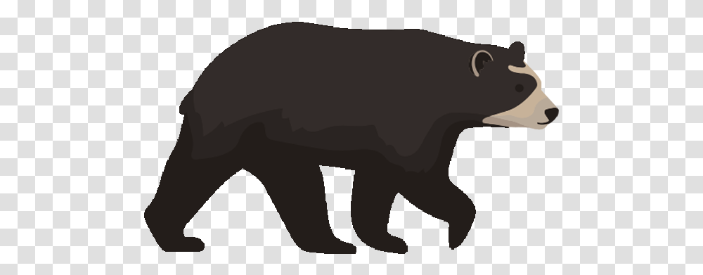 Videos Spectacled Bears Conservation Society Bearish And Bullish, Mammal, Animal, Wildlife, Person Transparent Png