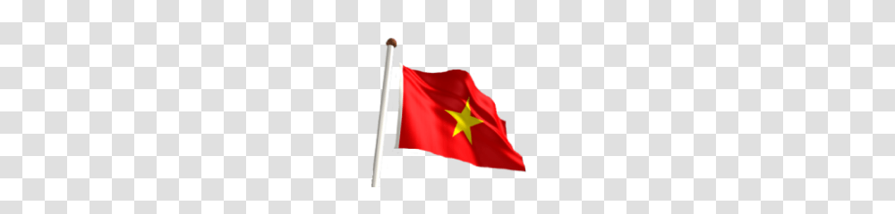 Vietnam Flag Clipart, American Flag, Person, Human Transparent Png